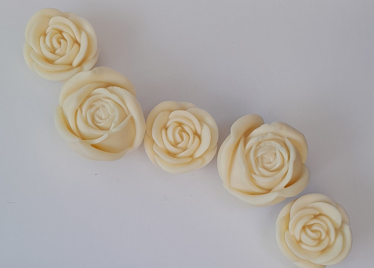 Oriental Jasmine
