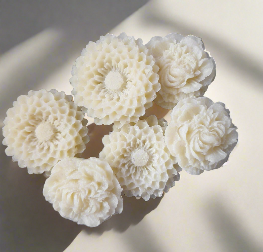 Complimentary Wax Melts Sample Pack